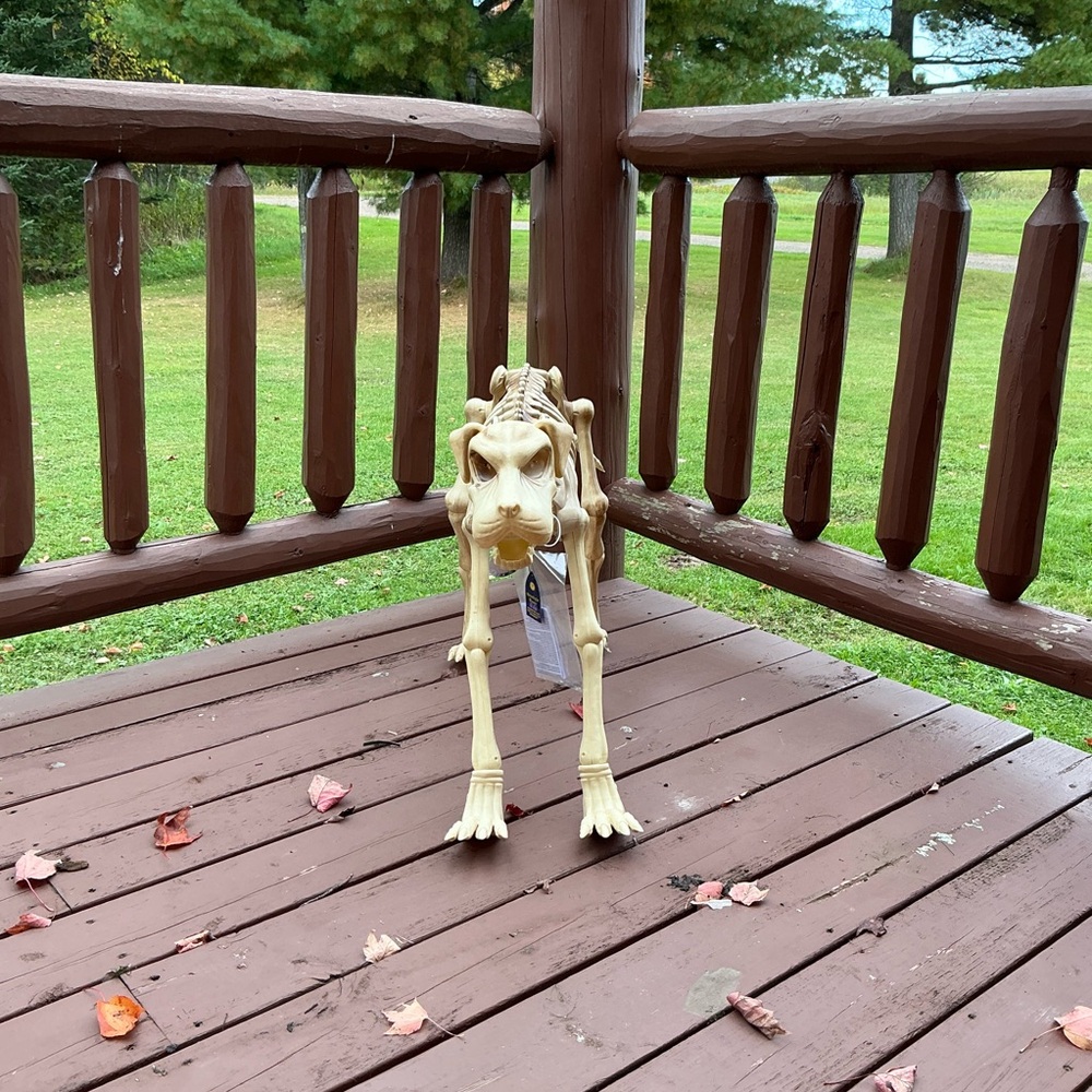 Moonlight Manor Skeleton Dog W/ LED Eyes and Sound and Motion Sensor - 31x25.5”